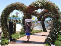 EXPO 2016