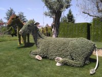 EXPO 2016