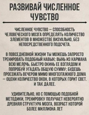 развивай числительное чувство