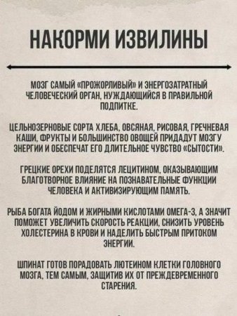 Накорми извилины